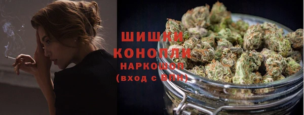 ECSTASY Кукмор