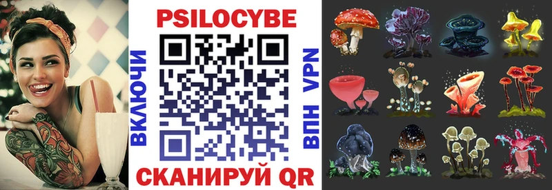 Галлюциногенные грибы мухоморы  где найти   Сокол 